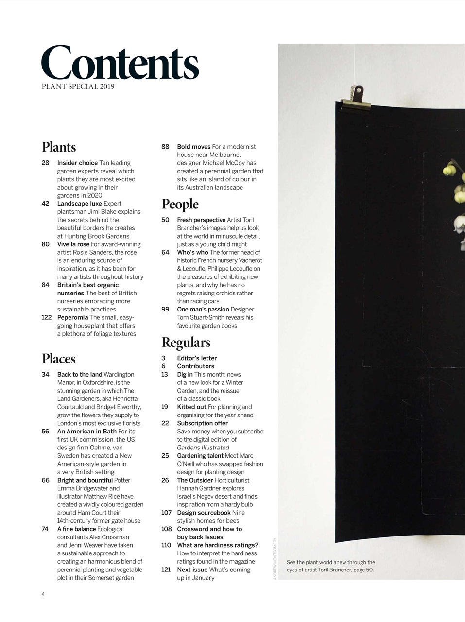 Gardens Illustrated Preview Pages