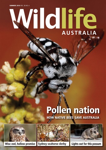 Wildlife Australia issue Wildlife Australia Magazine  Summer 2019