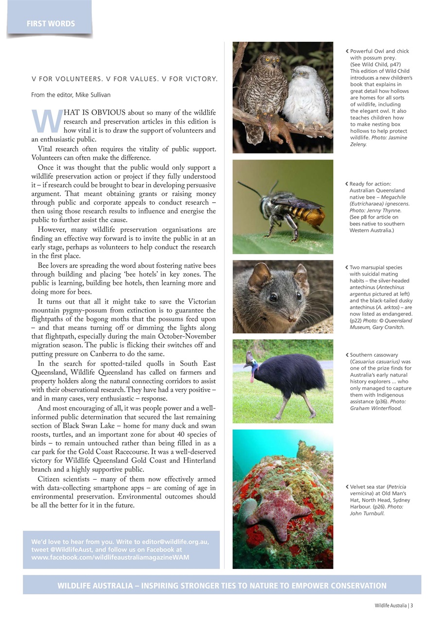 Wildlife Australia Preview Pages