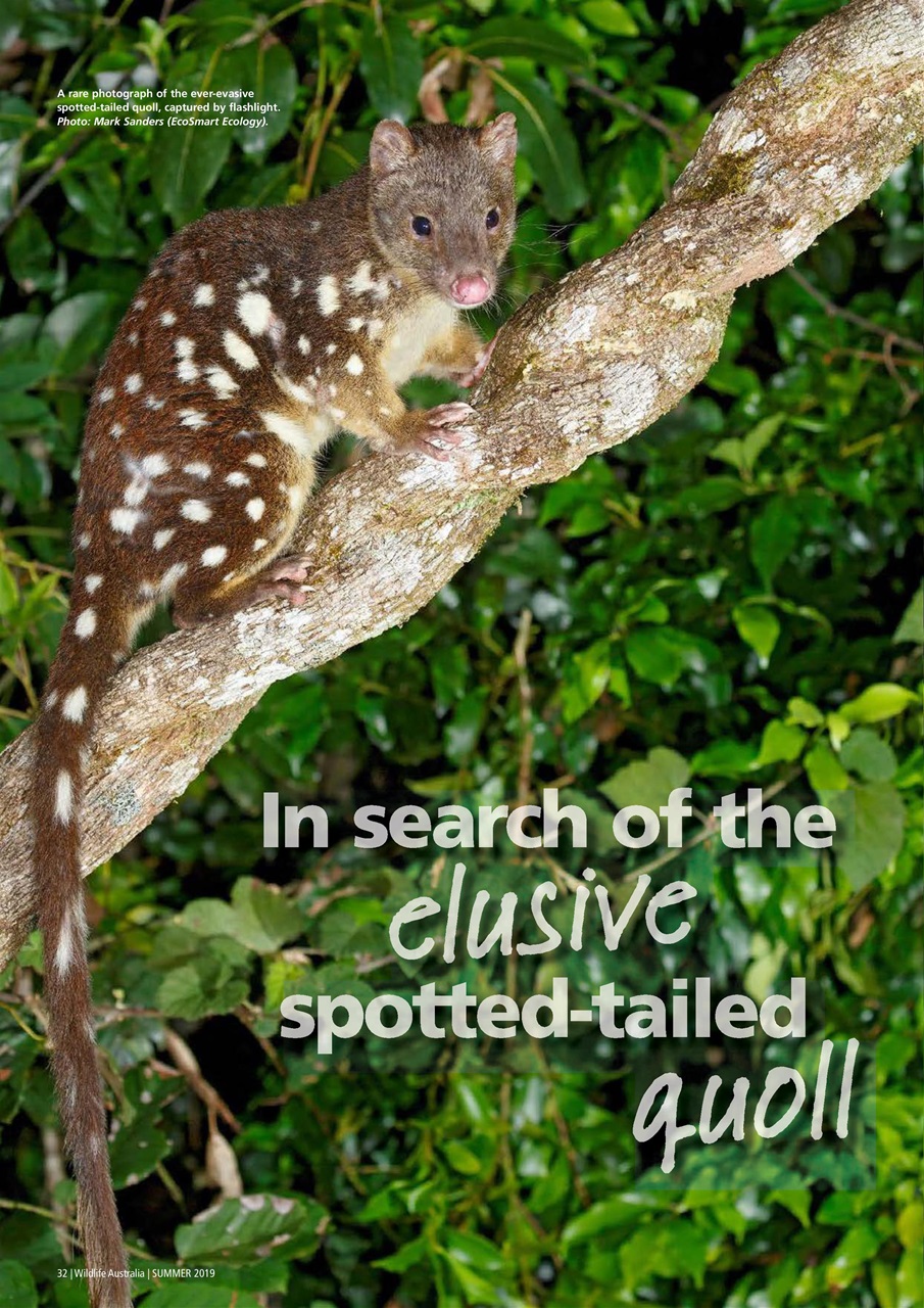 Wildlife Australia Preview Pages
