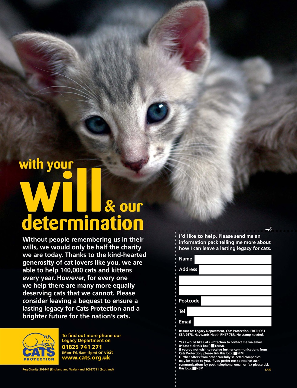 DIVA Magazine Preview Pages