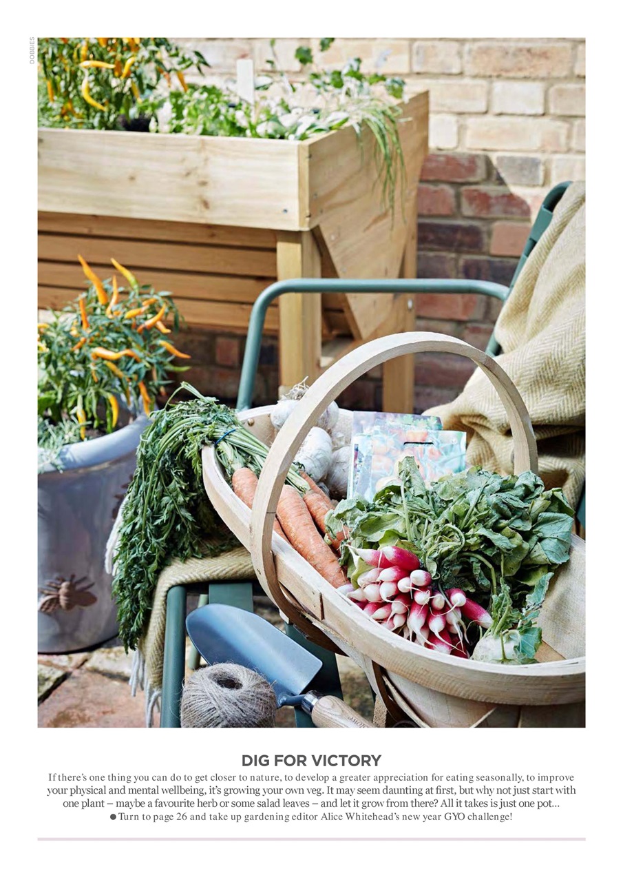 Vegetarian Living Preview Pages