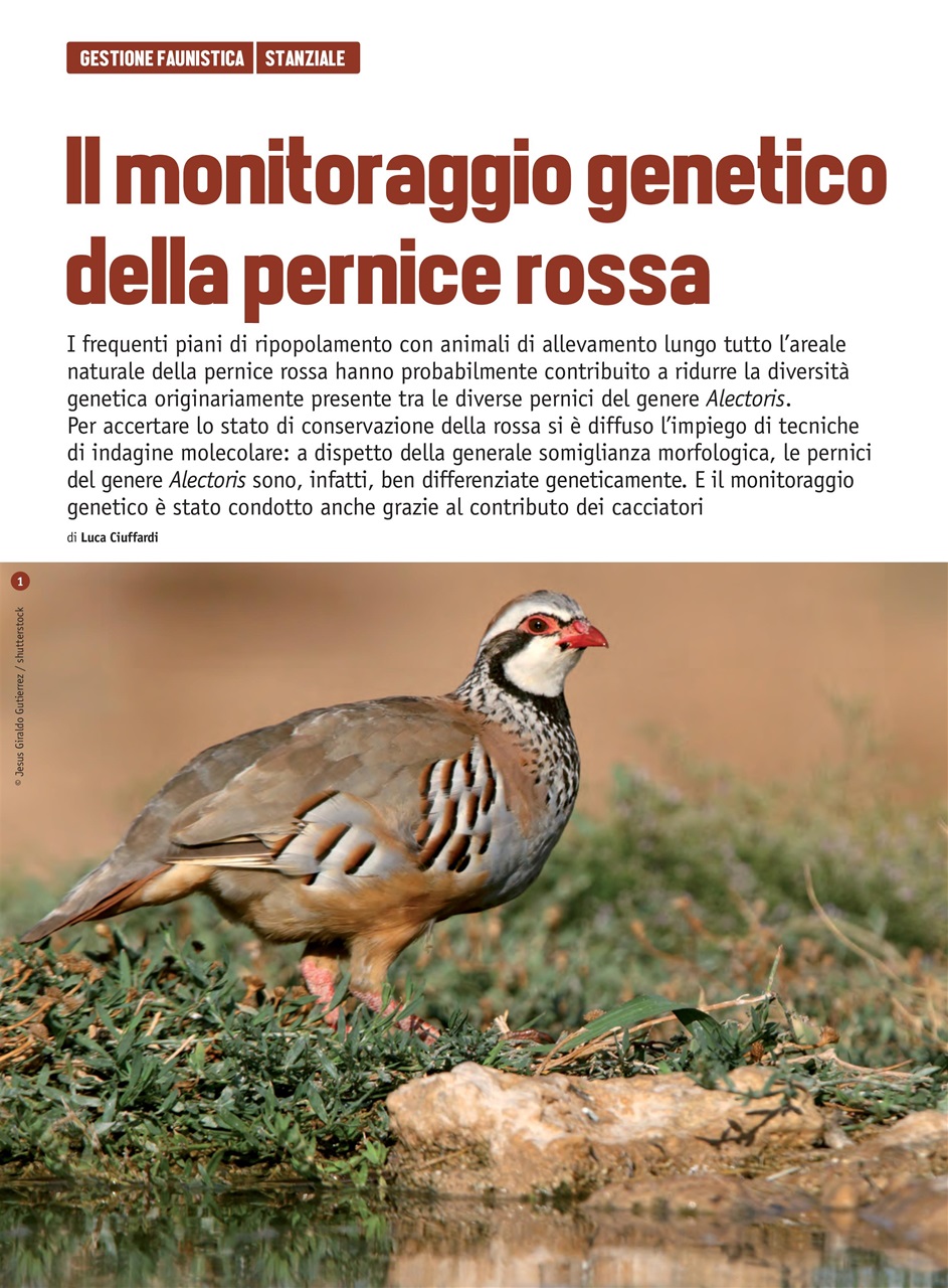 SENTIERI DI CACCIA Preview Pages