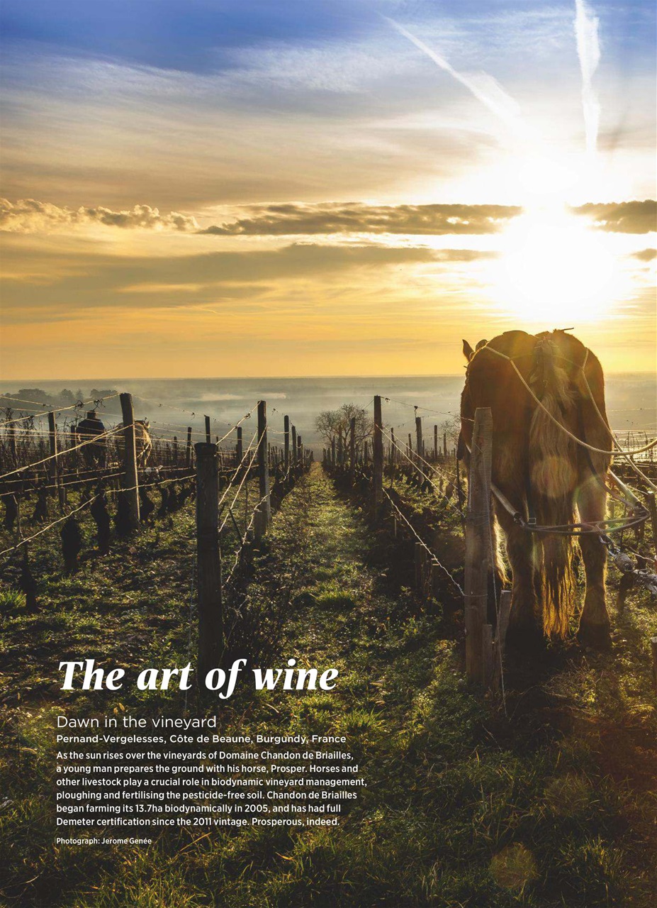 Decanter Preview Pages
