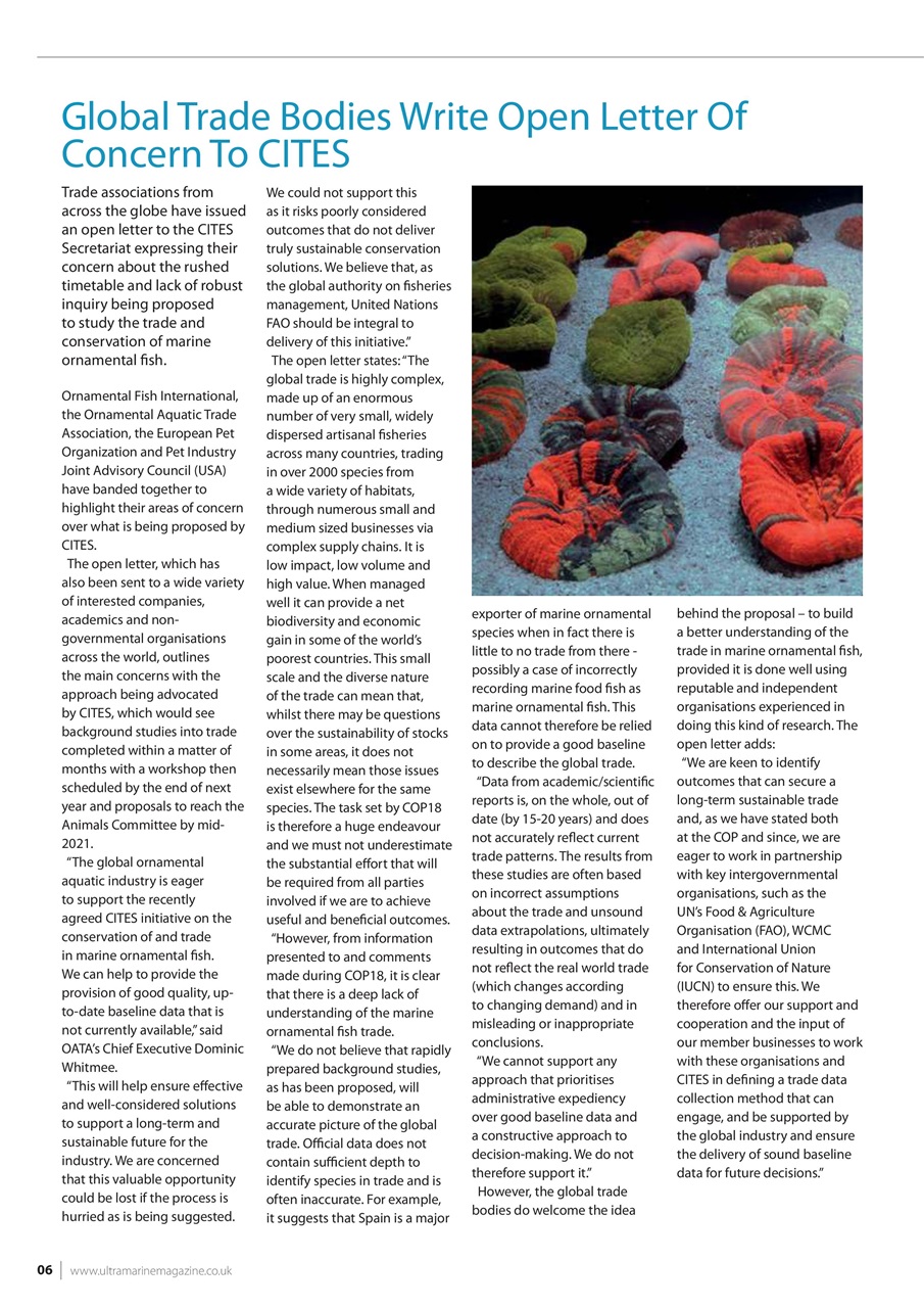 UltraMarine Magazine Preview Pages