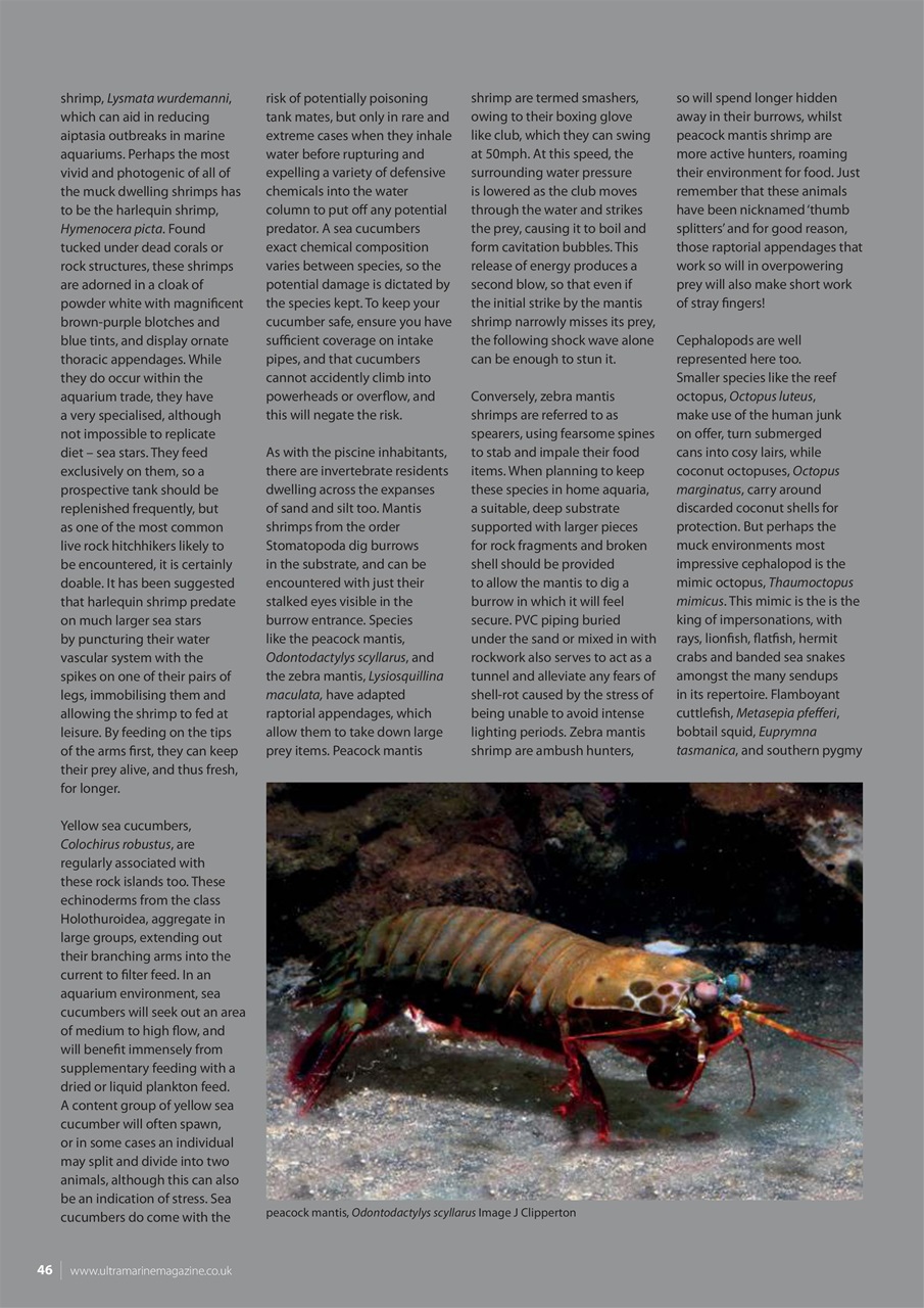 UltraMarine Magazine Preview Pages