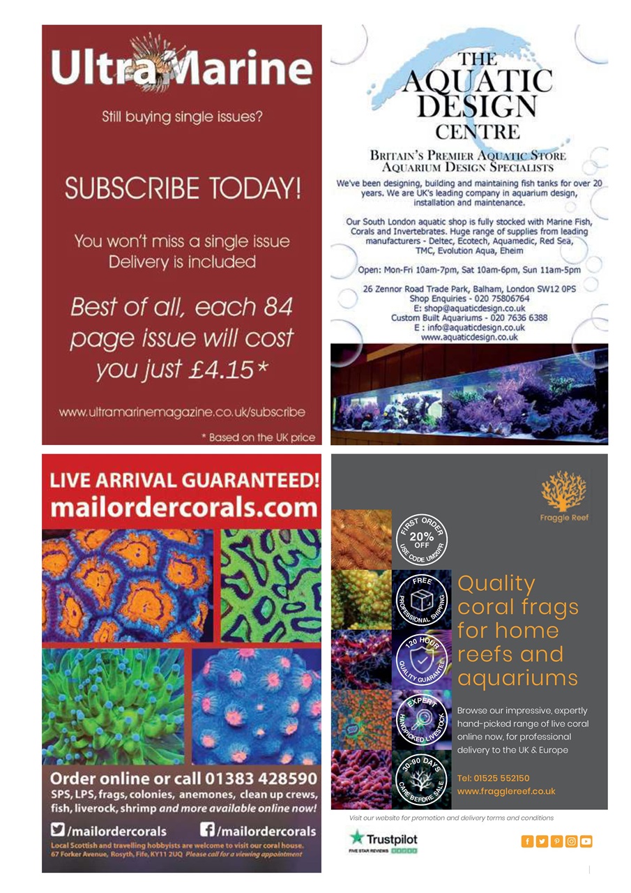 UltraMarine Magazine Preview Pages