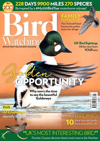 Bird Watching issue January 2020
