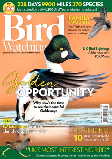 Bird Watching issue 