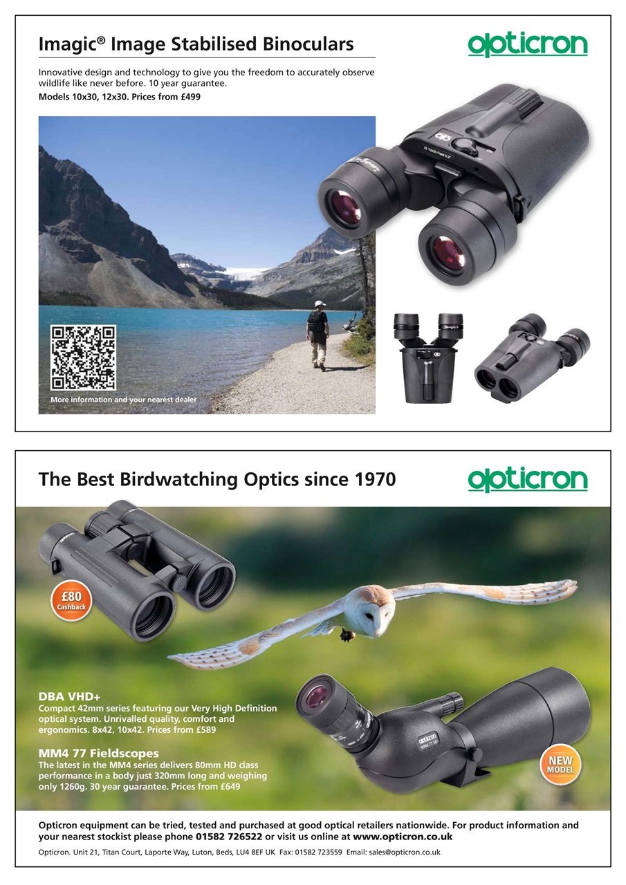 Bird Watching Preview Pages