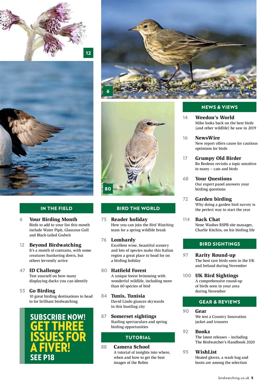 Bird Watching Preview Pages