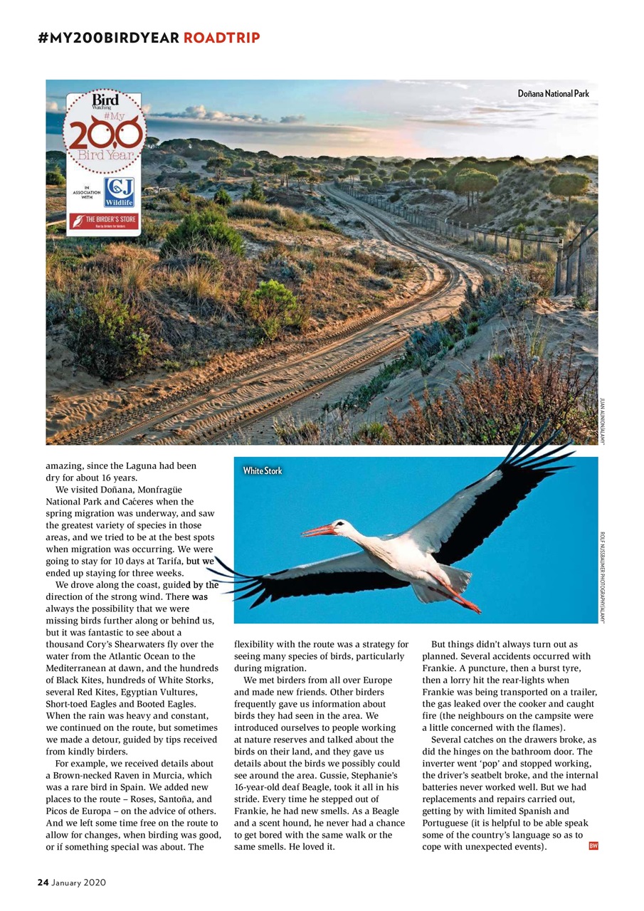 Bird Watching Preview Pages