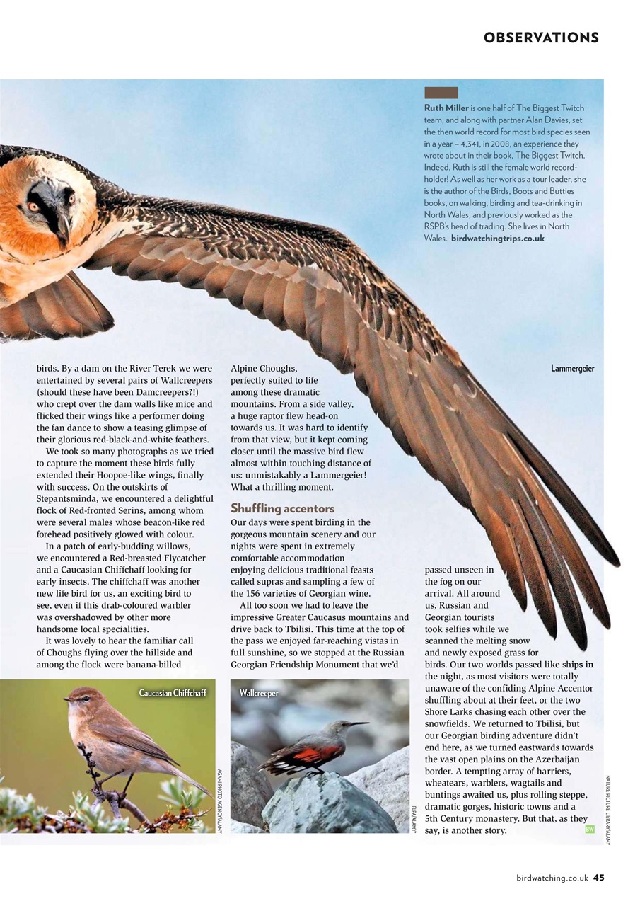 Bird Watching Preview Pages