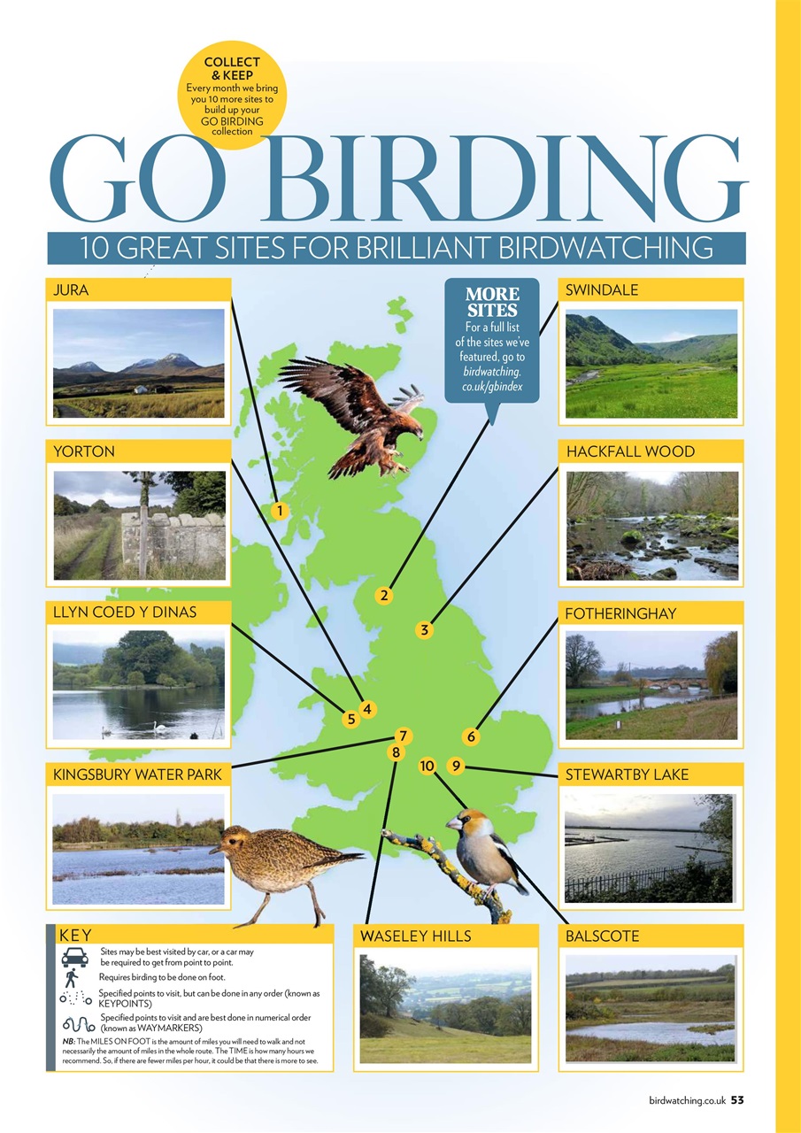 Bird Watching Preview Pages