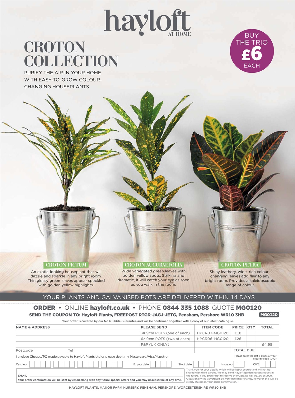 Modern Gardens Preview Pages