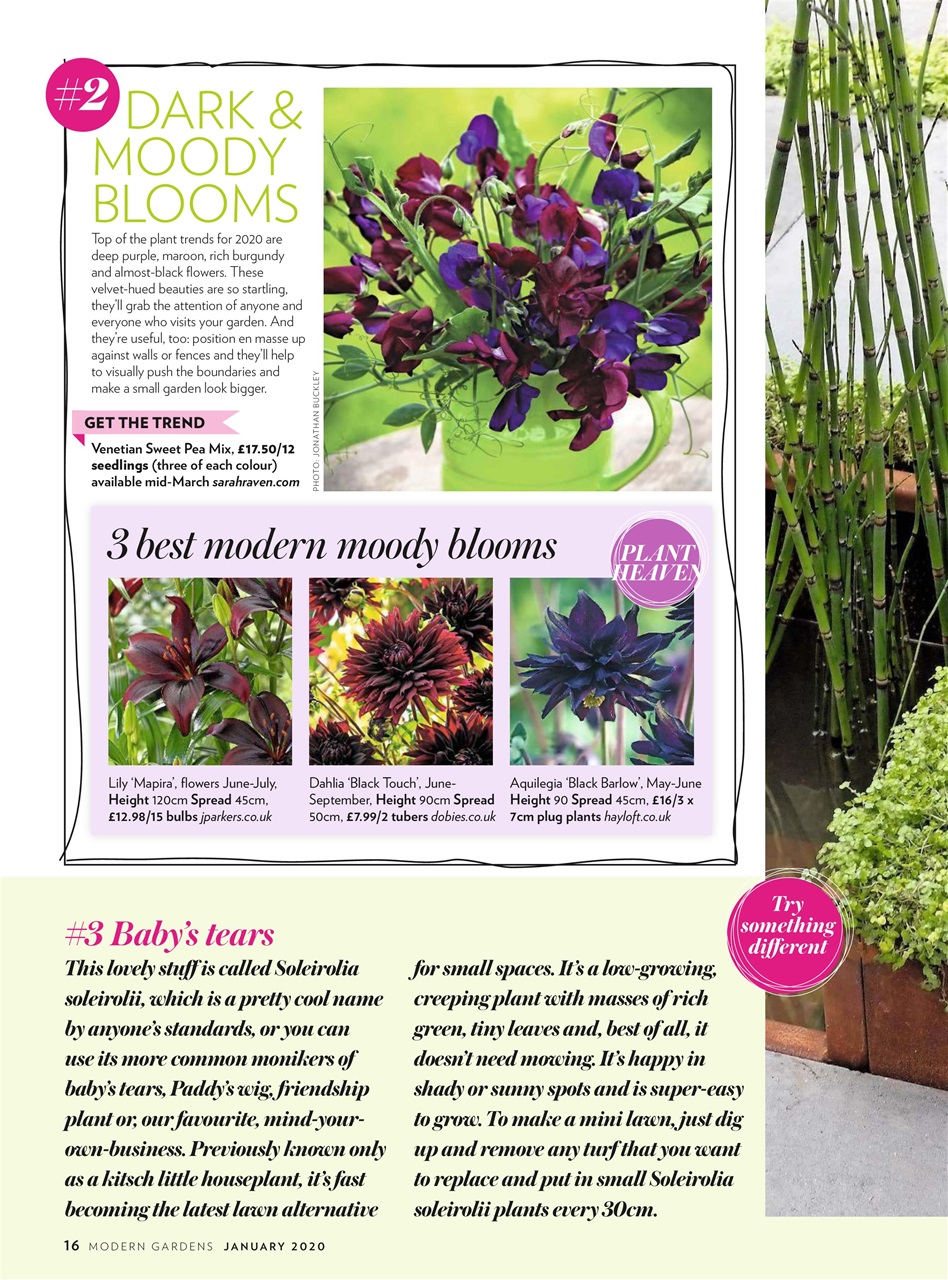 Modern Gardens Preview Pages