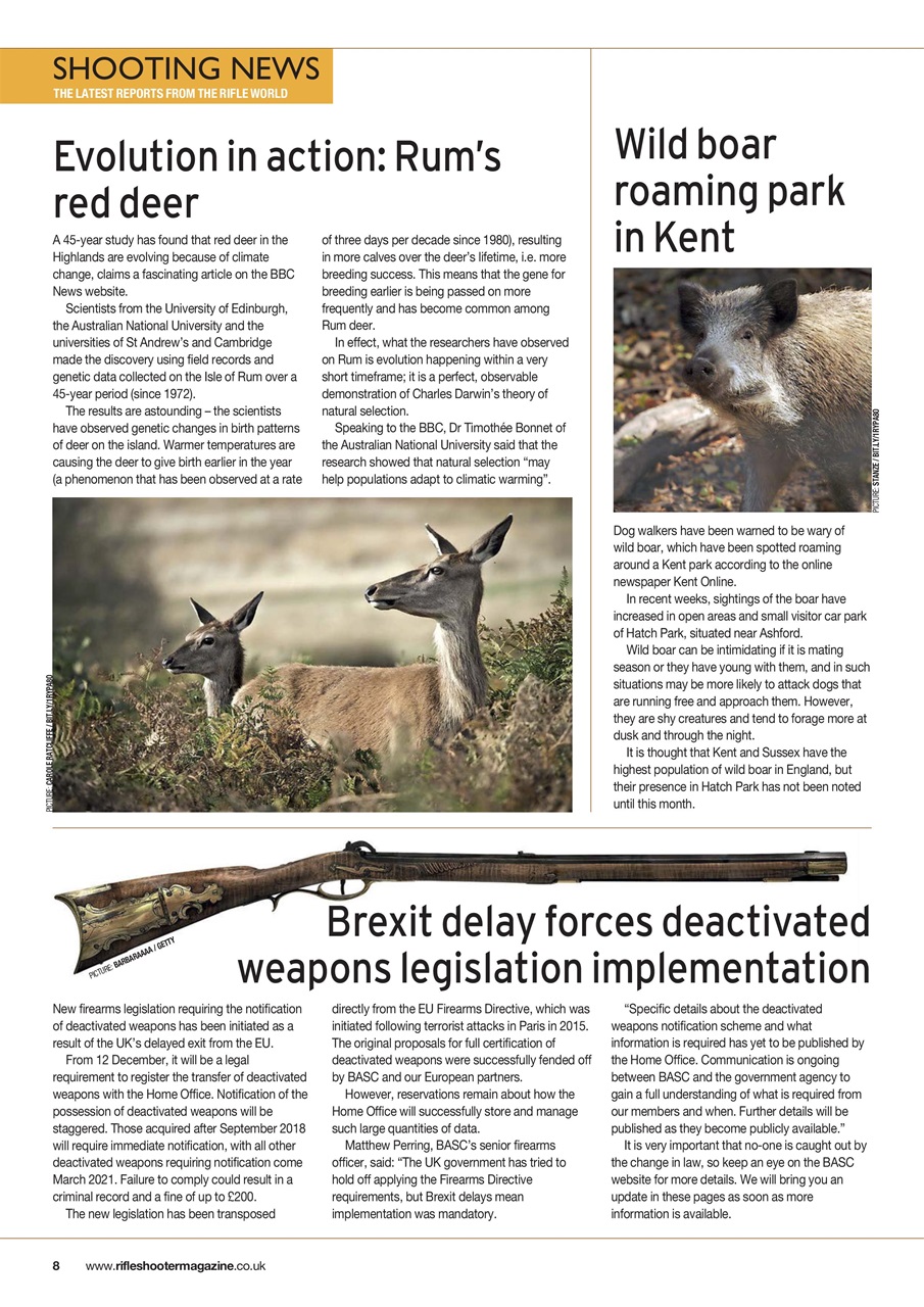 Rifle Shooter Preview Pages