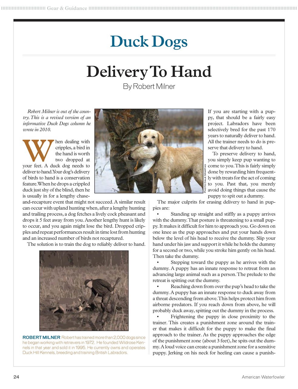 American Waterfowler Preview Pages