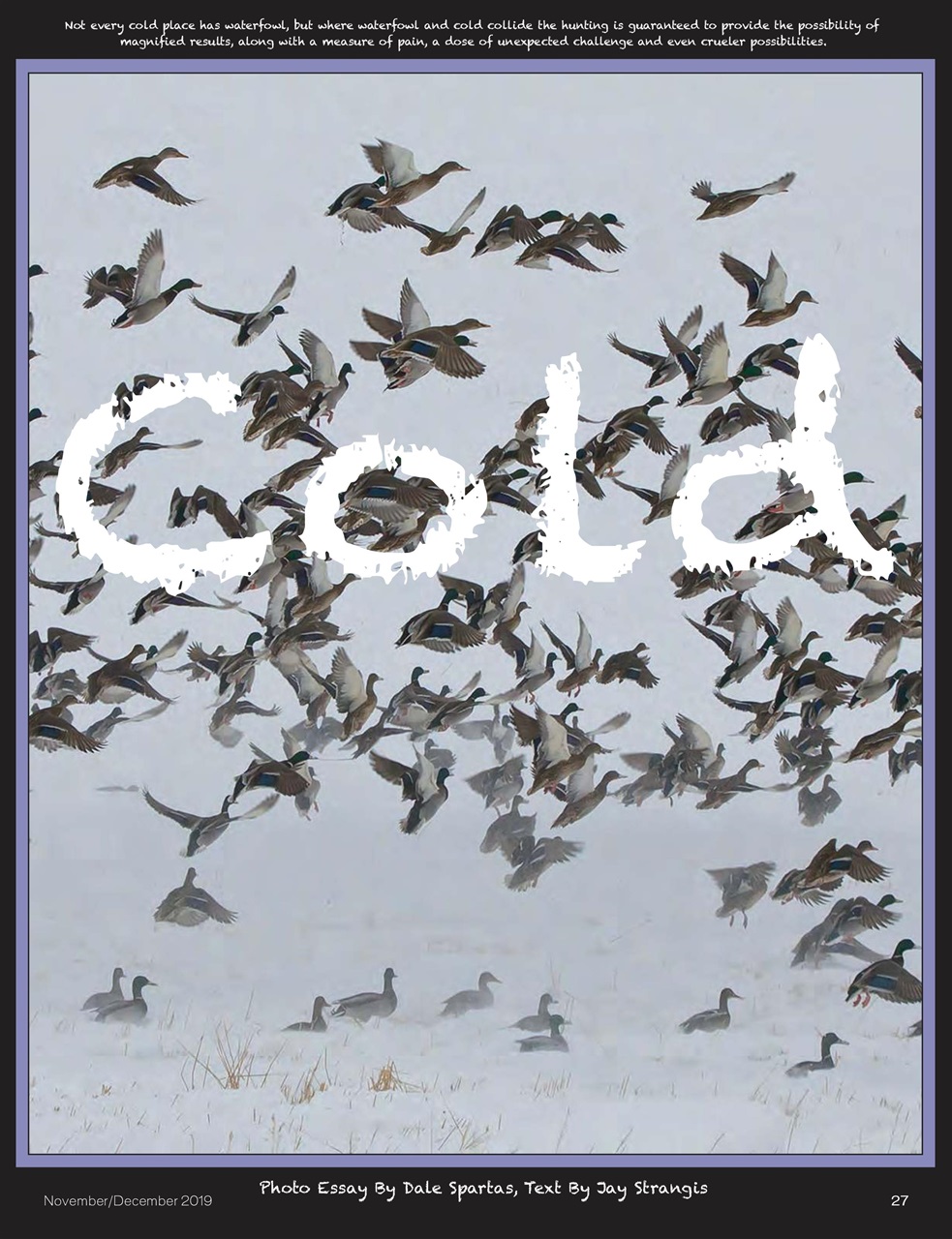 American Waterfowler Preview Pages