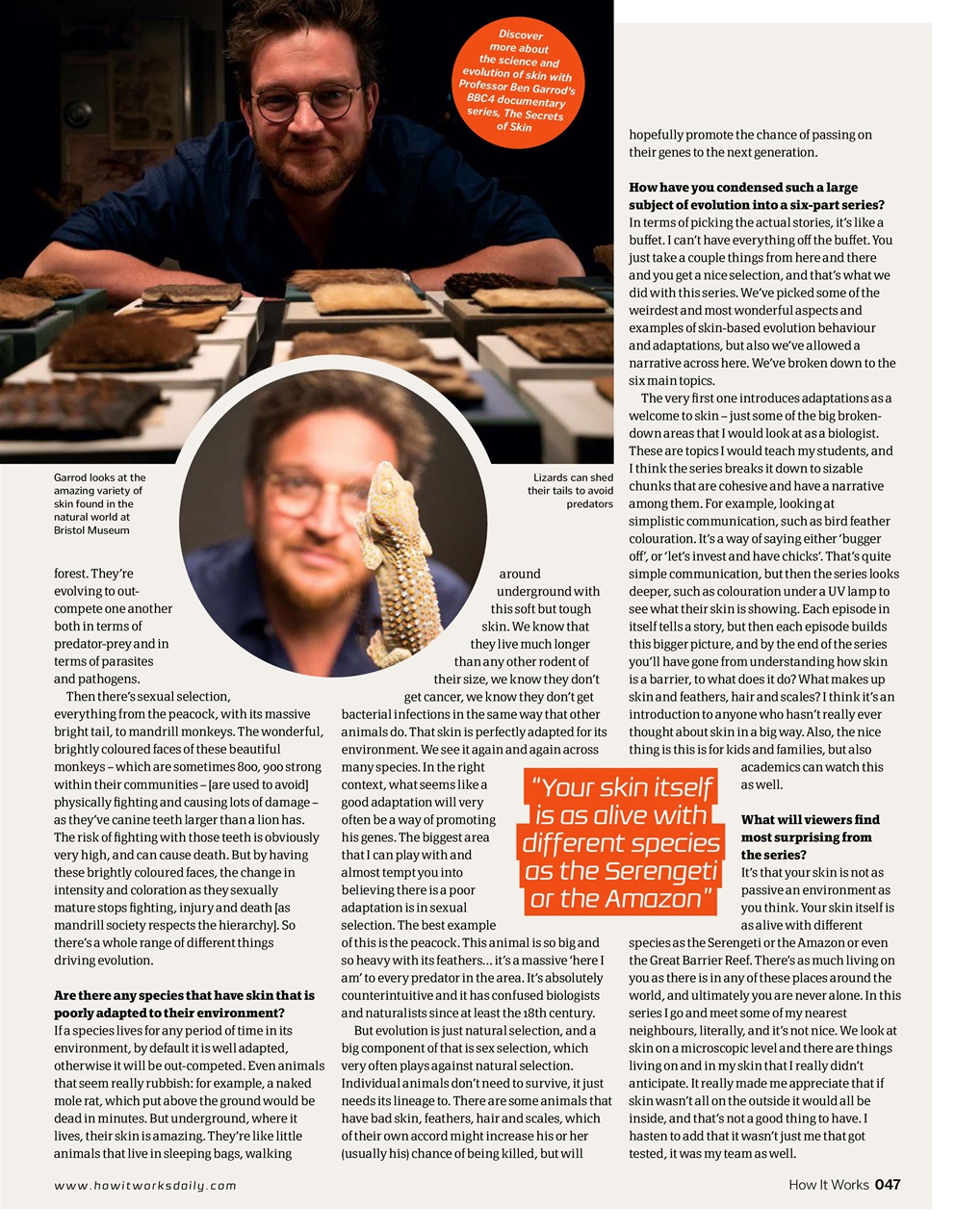 How It Works Preview Pages