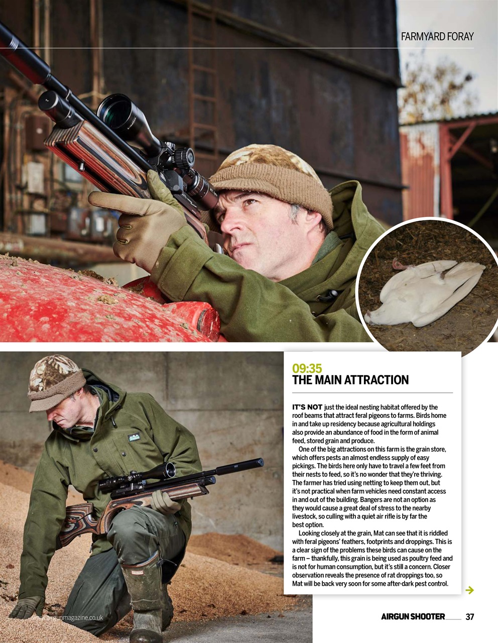 Airgun Shooter Preview Pages