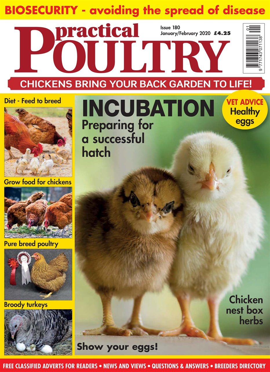 Practical Poultry Preview Pages