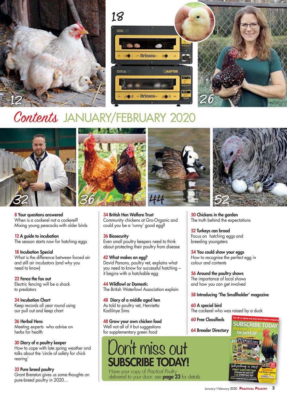 Practical Poultry Preview Pages