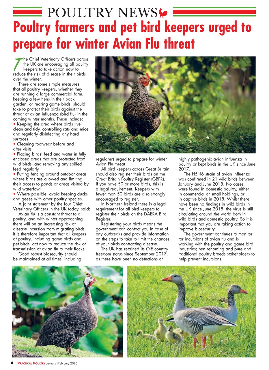 Practical Poultry Preview Pages