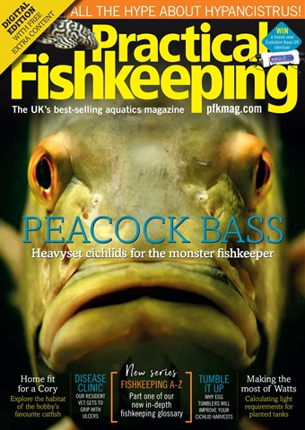 Practical Fishkeeping issue Practical Fishkeeping Magazine February 2020
