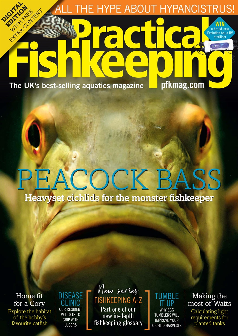 Practical Fishkeeping Preview Pages