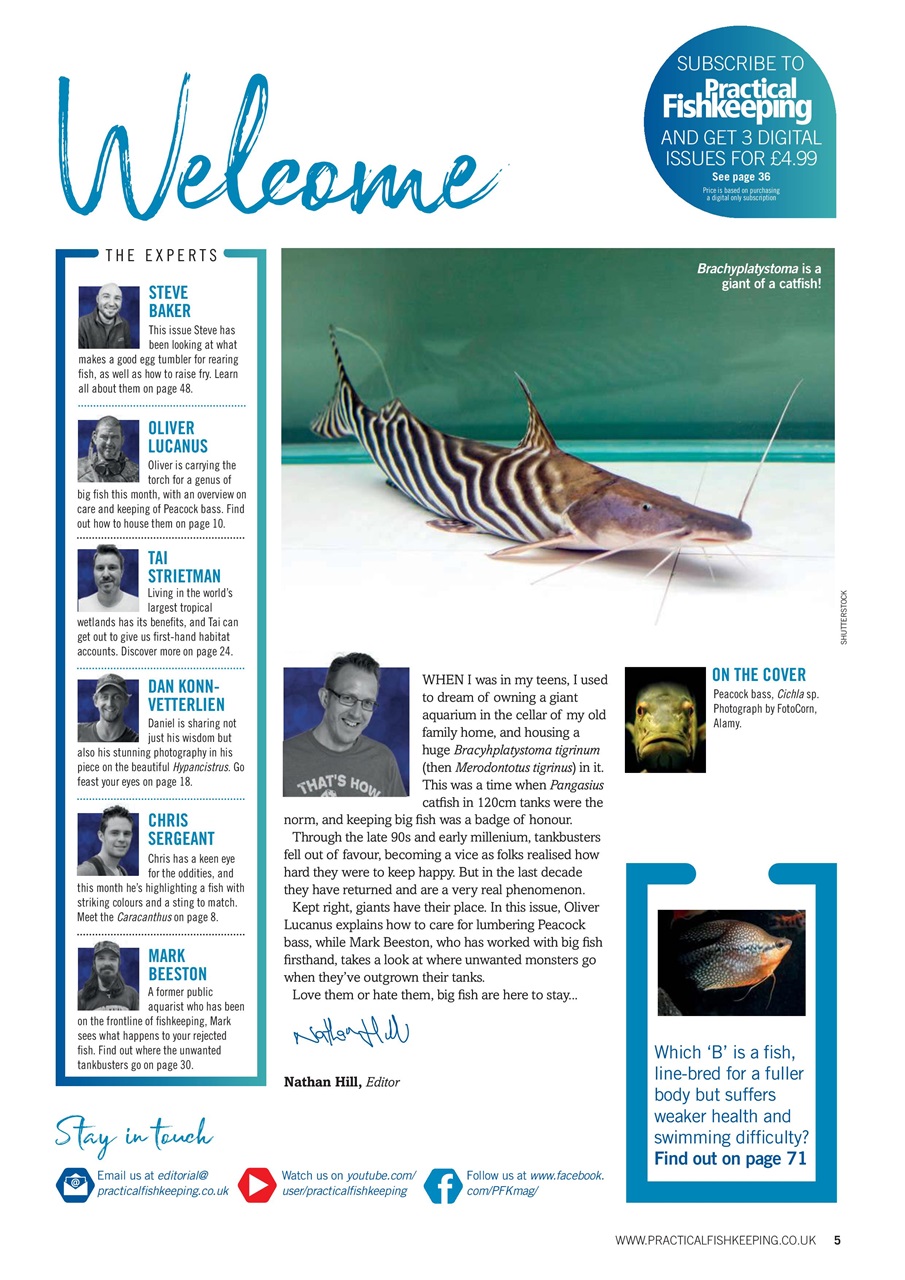 Practical Fishkeeping Preview Pages