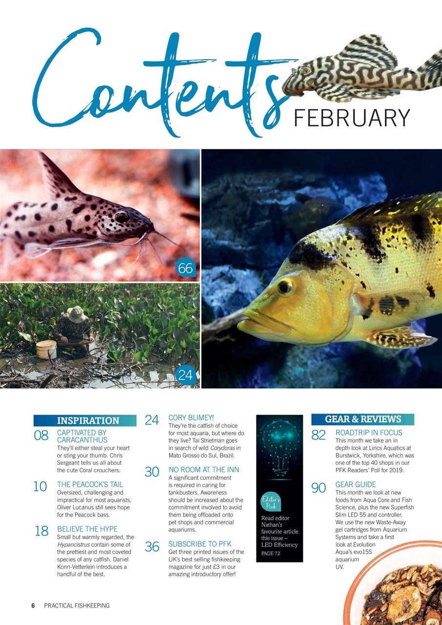 Practical Fishkeeping Preview Pages