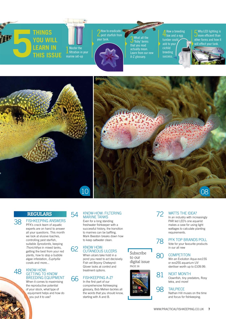 Practical Fishkeeping Preview Pages