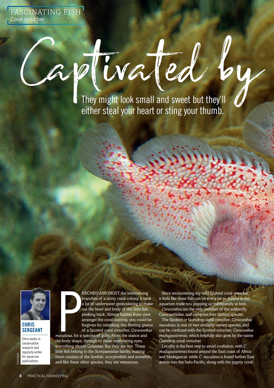 Practical Fishkeeping Preview Pages