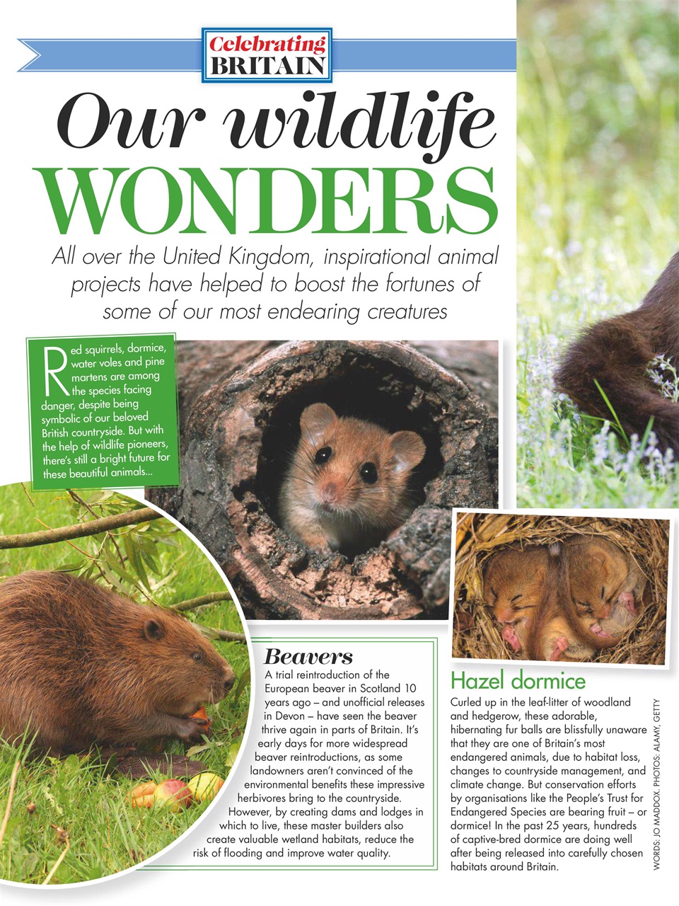 Woman's Weekly Preview Pages