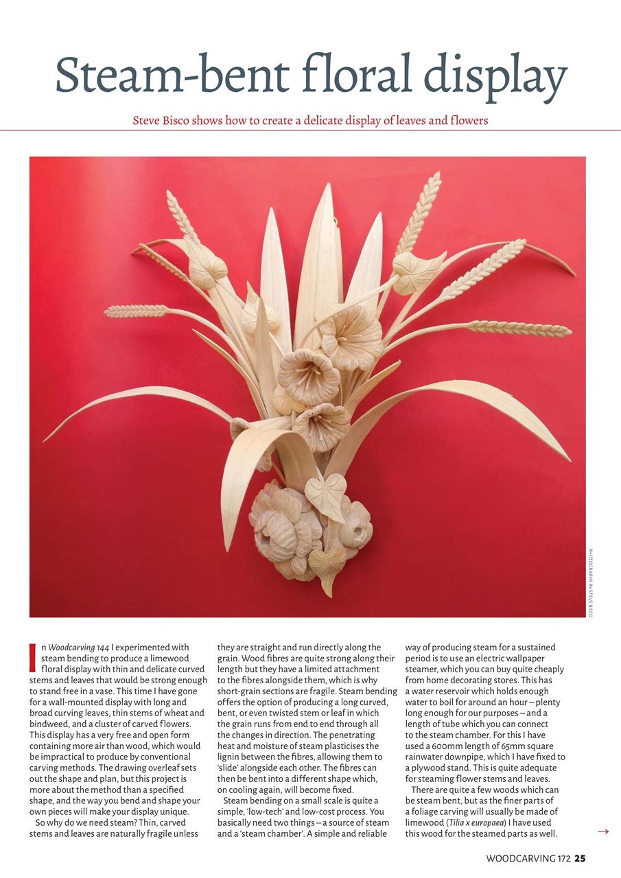 Woodcarving Preview Pages