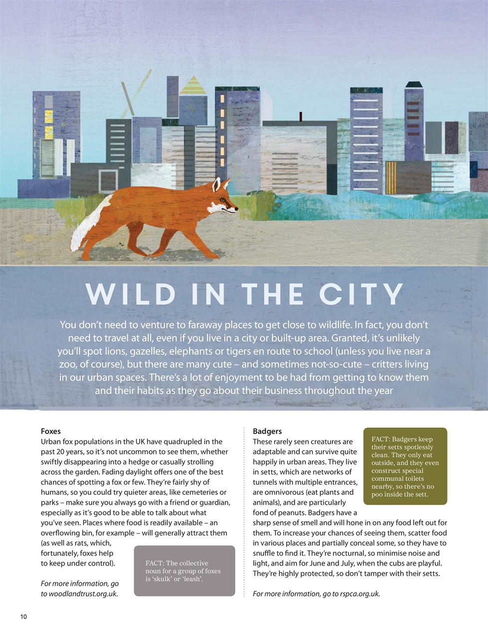 Teen Breathe Preview Pages