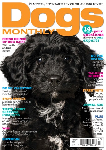 February 2020 issue February 2020