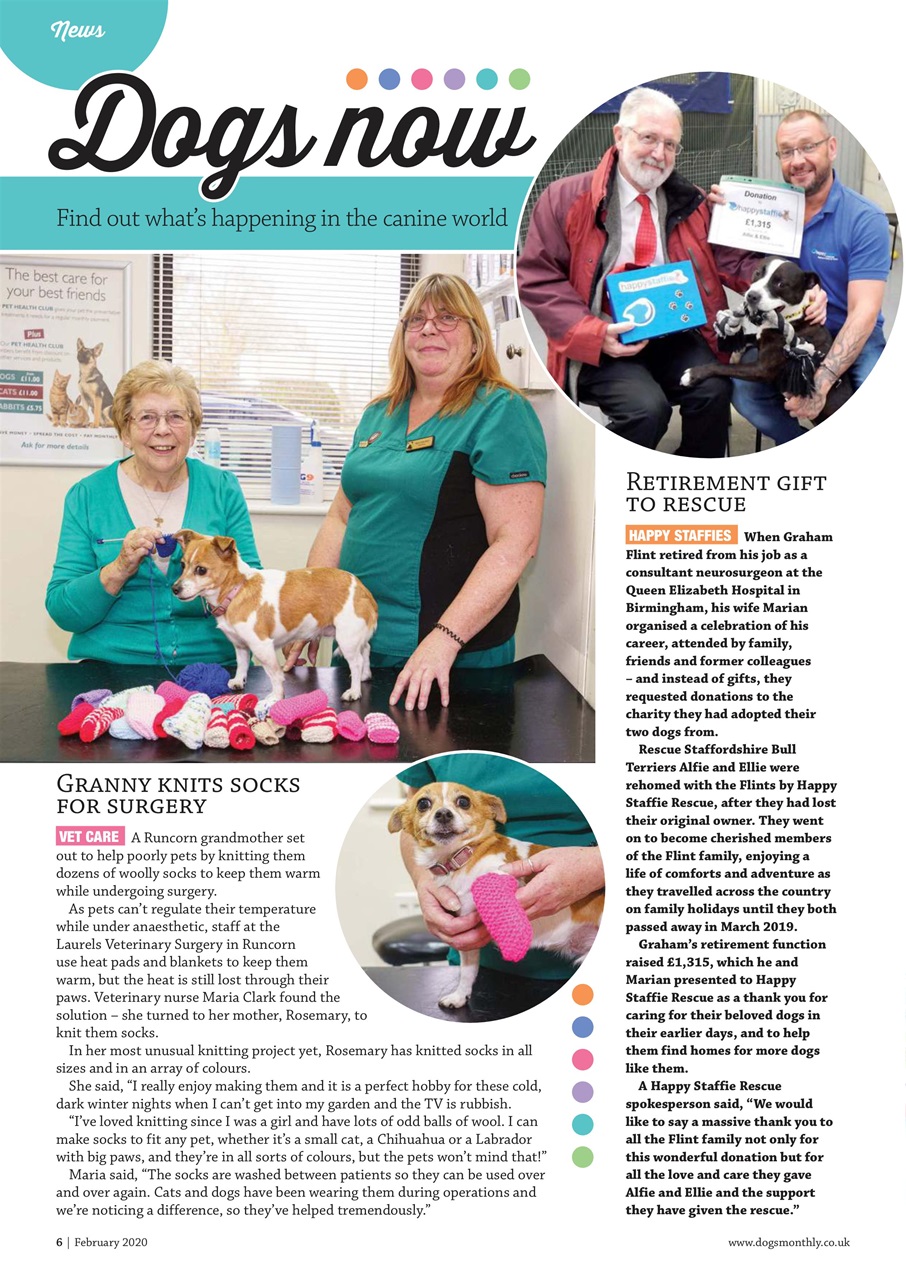 Dogs Monthly Preview Pages