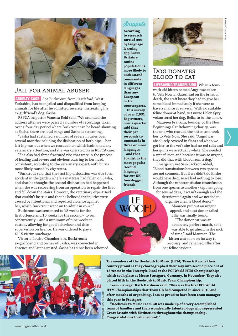 Dogs Monthly Preview Pages