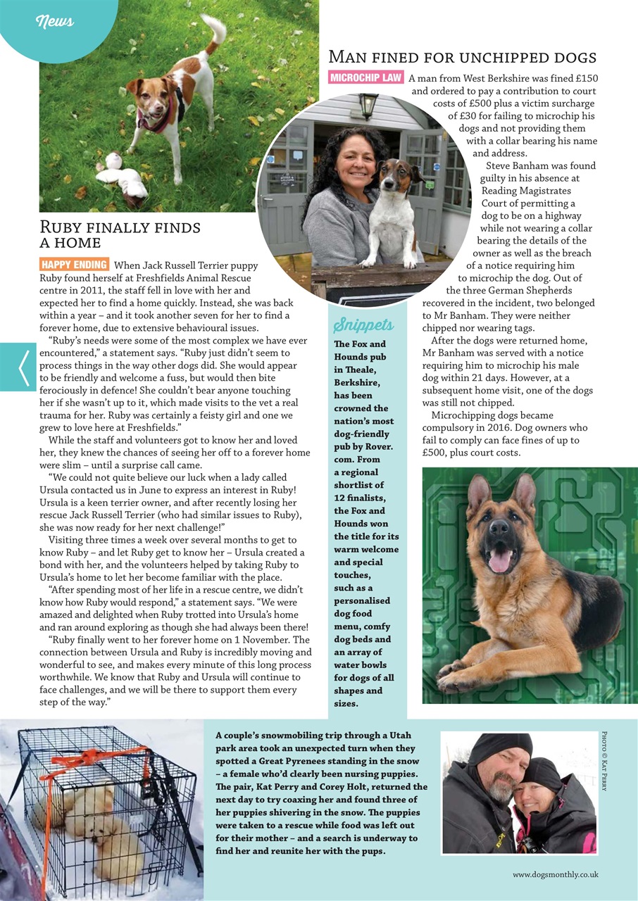 Dogs Monthly Preview Pages