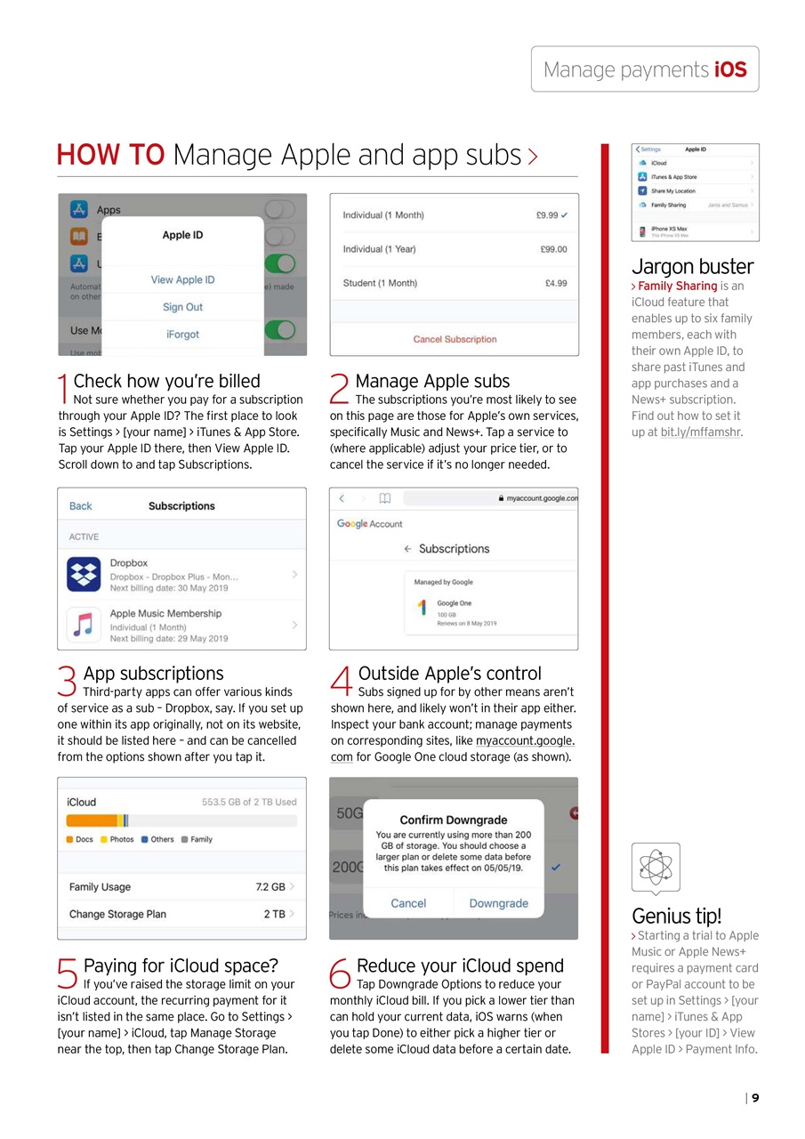 iPad User Preview Pages