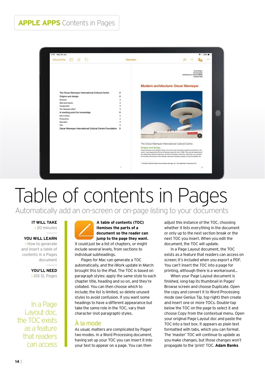 iPad User Preview Pages