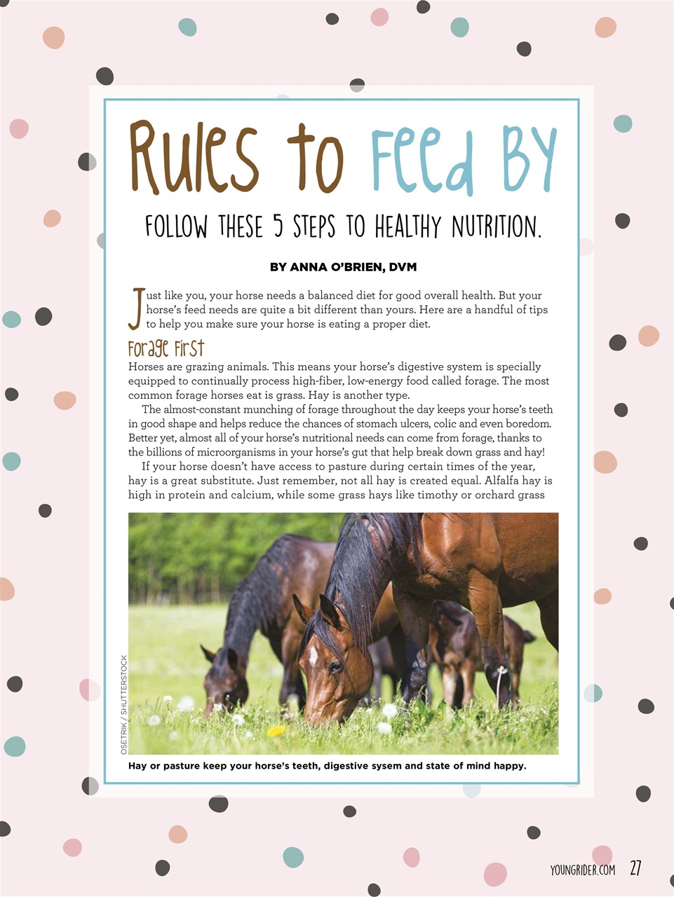 Young Rider Magazine Preview Pages