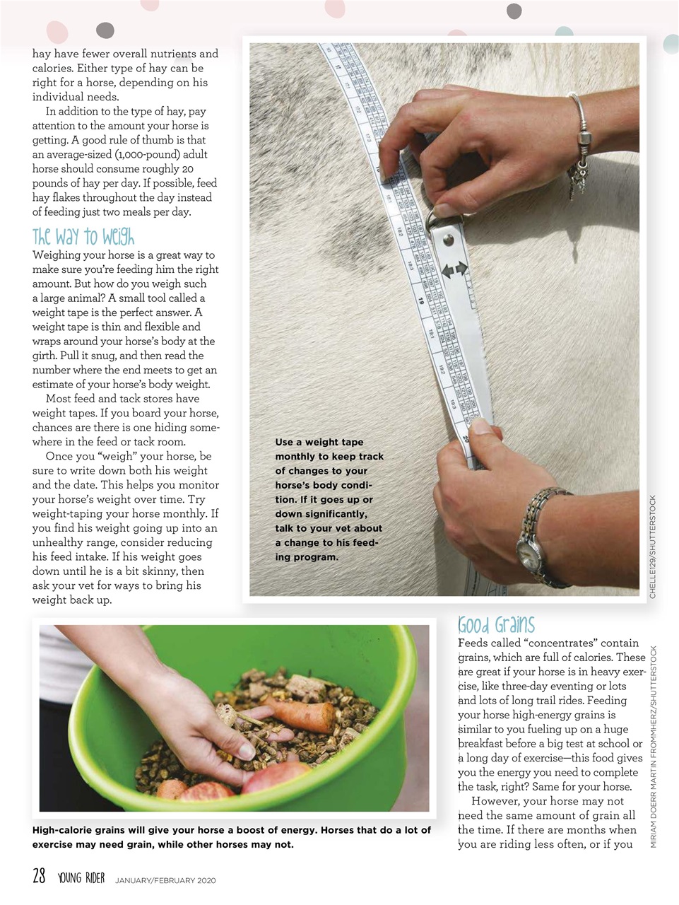 Young Rider Magazine Preview Pages