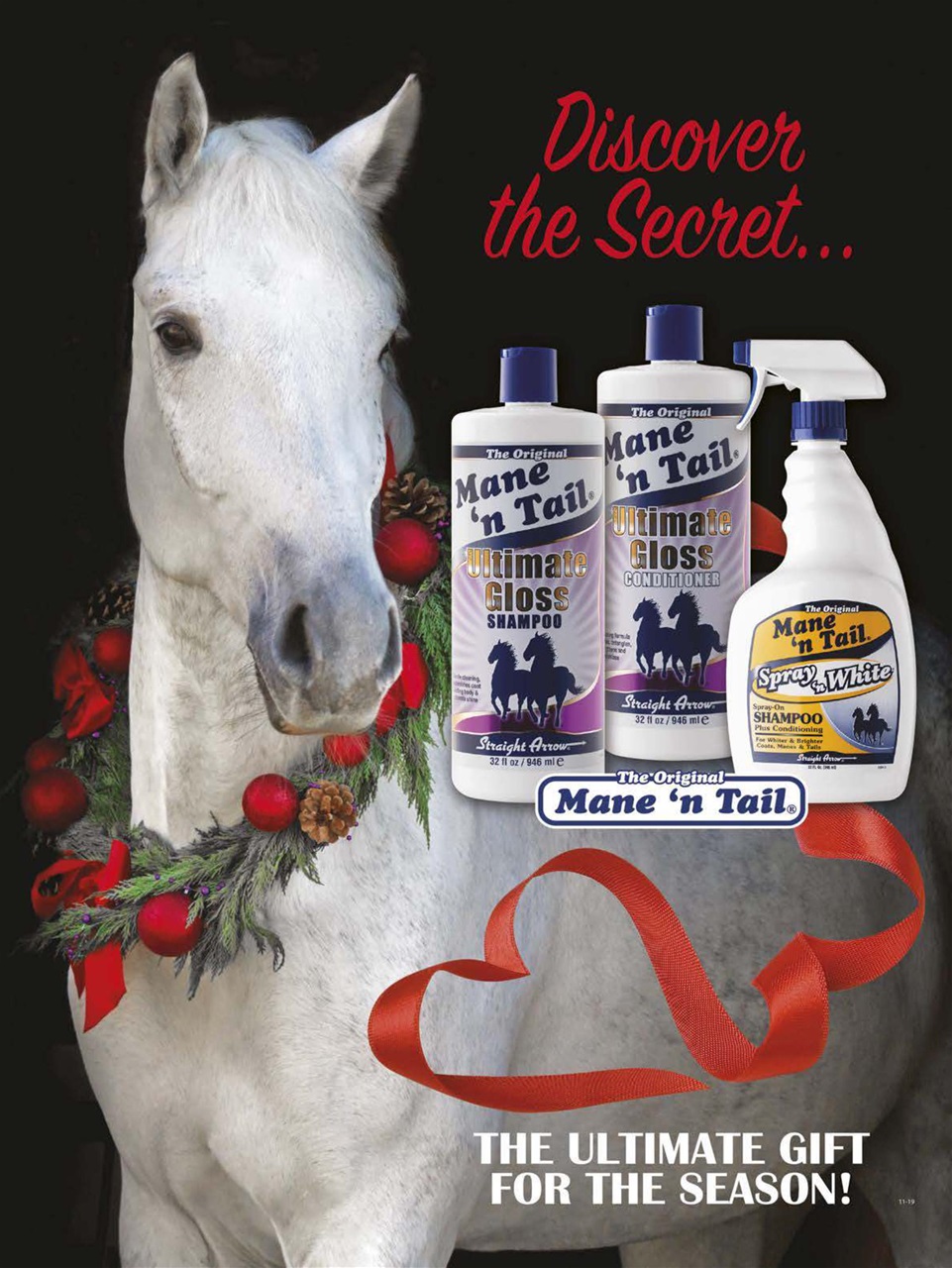 Young Rider Magazine Preview Pages