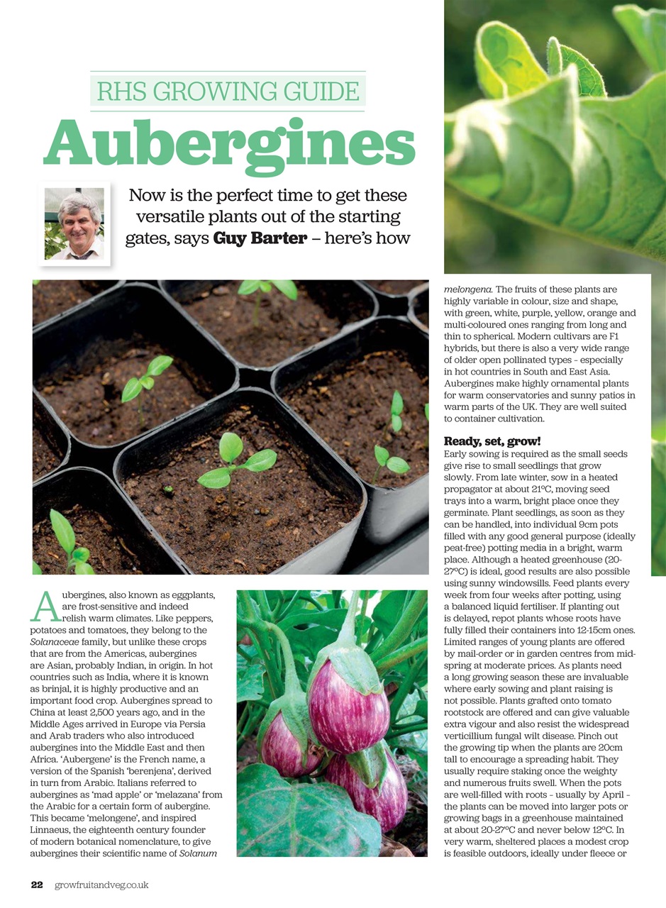 Grow Your Own Preview Pages