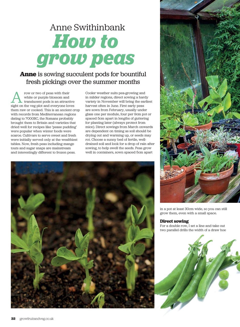 Grow Your Own Preview Pages