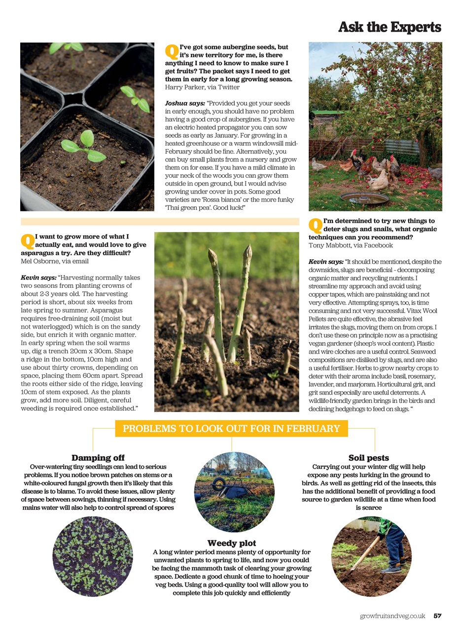 Grow Your Own Preview Pages