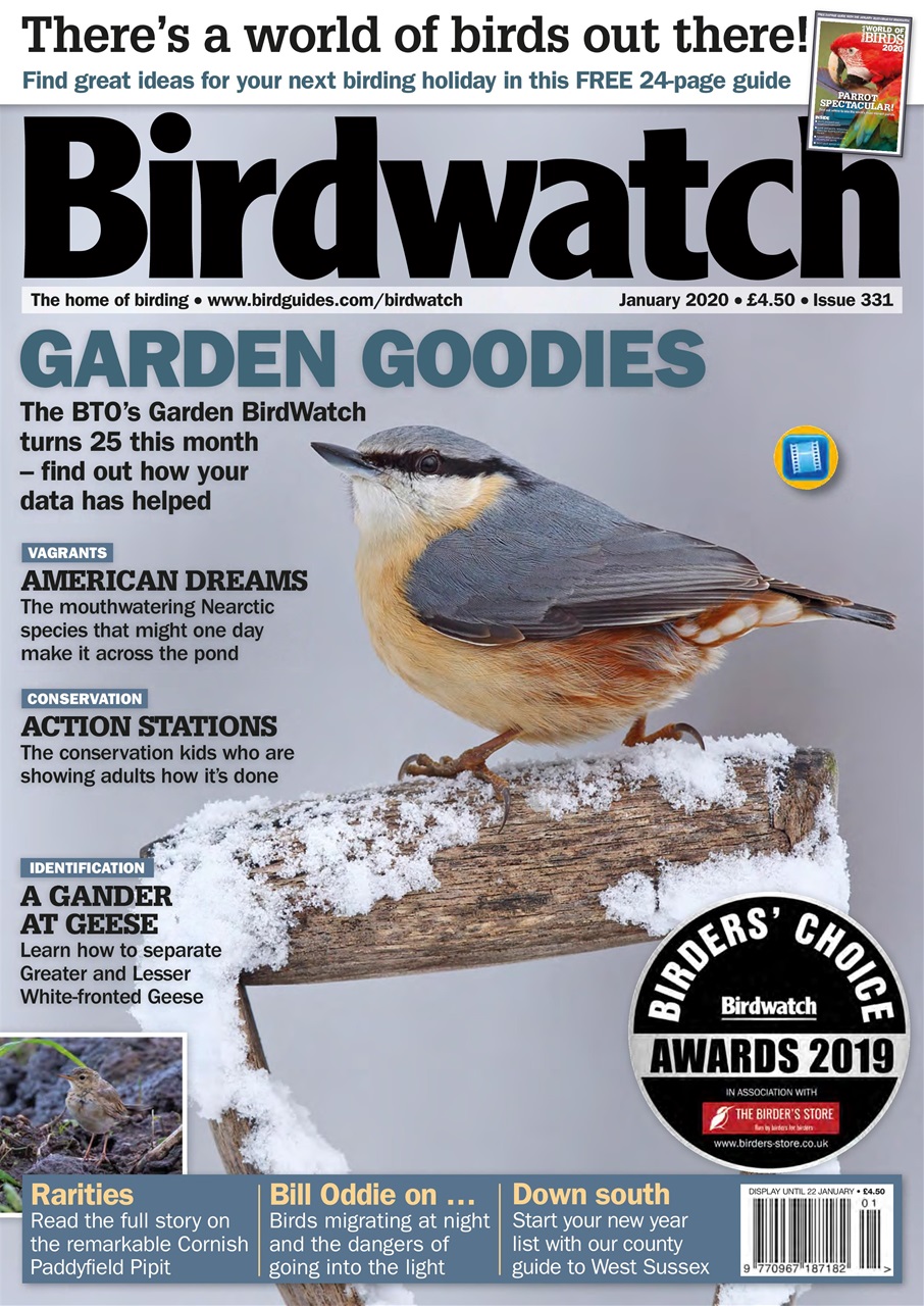 Birdwatch Magazine Preview Pages